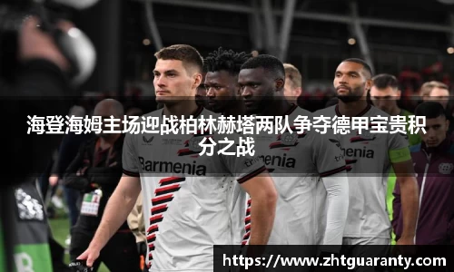 佰利乐平台
